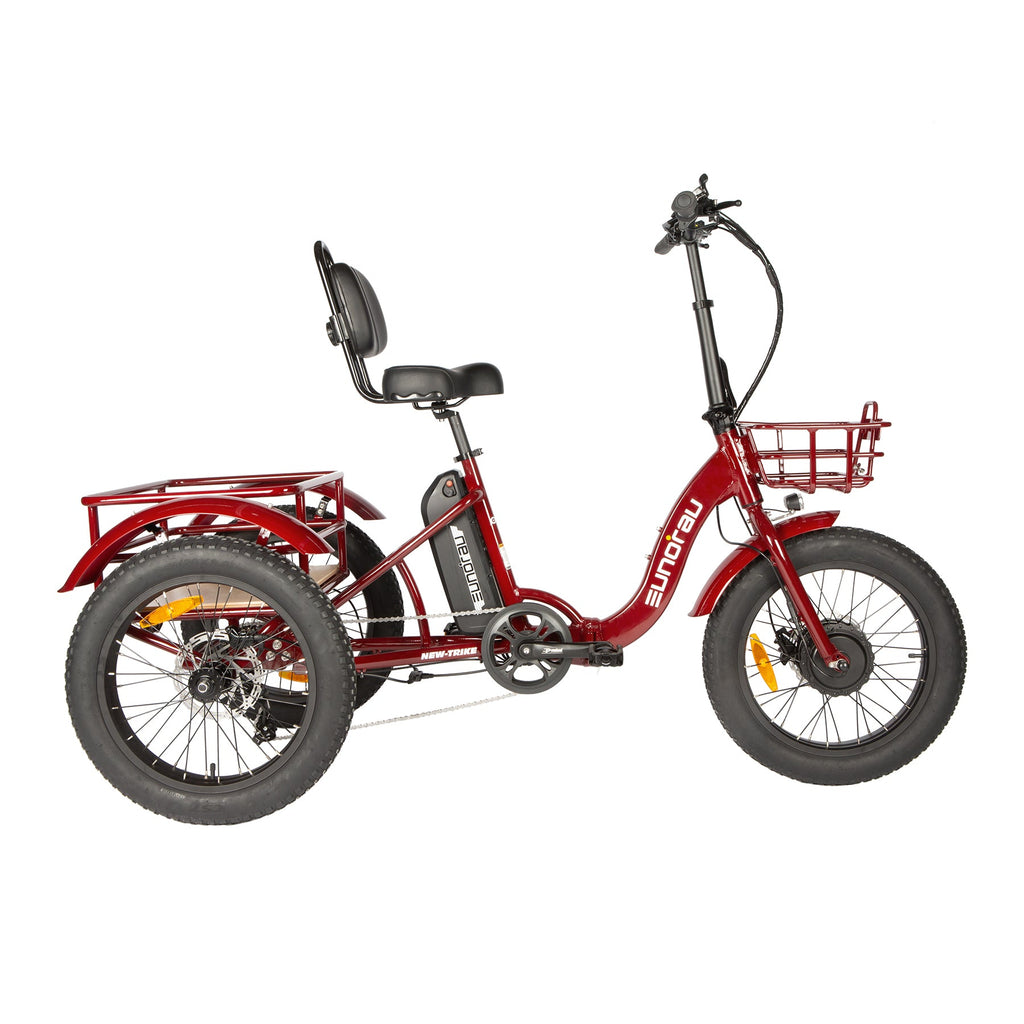 NEW TRIKE 2.0 