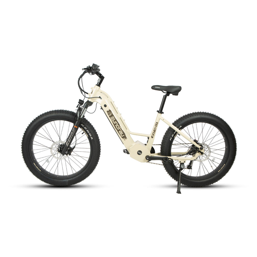 Eunorau FAT-HD 2.0 E-Bike