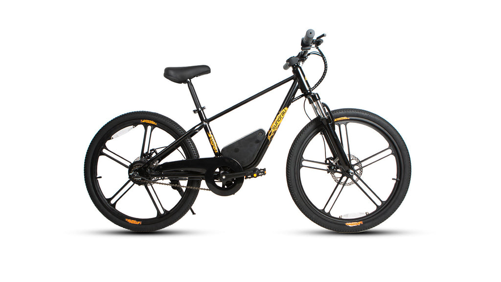 24 inch electric bike