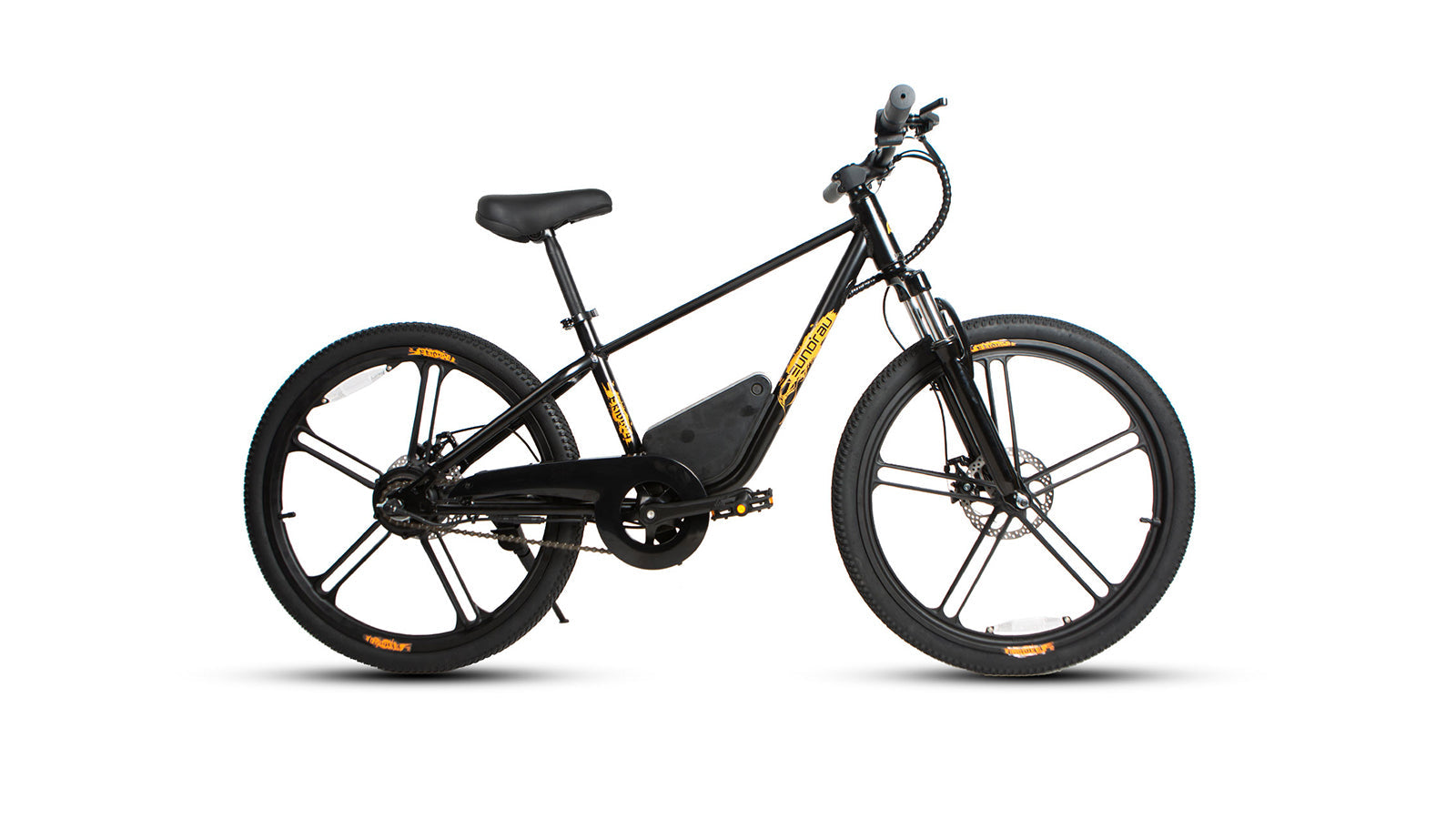 24 inch electric bike