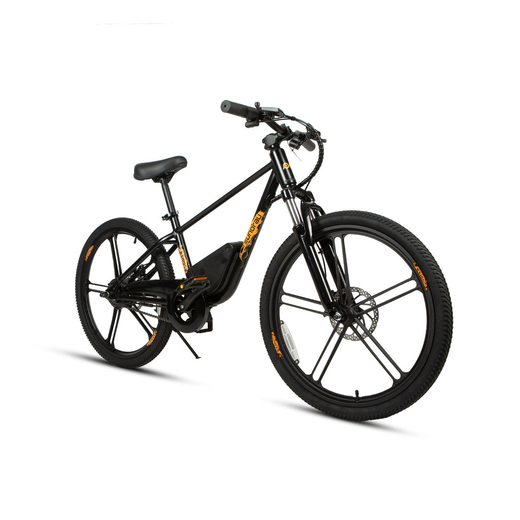 24 inch electric bike