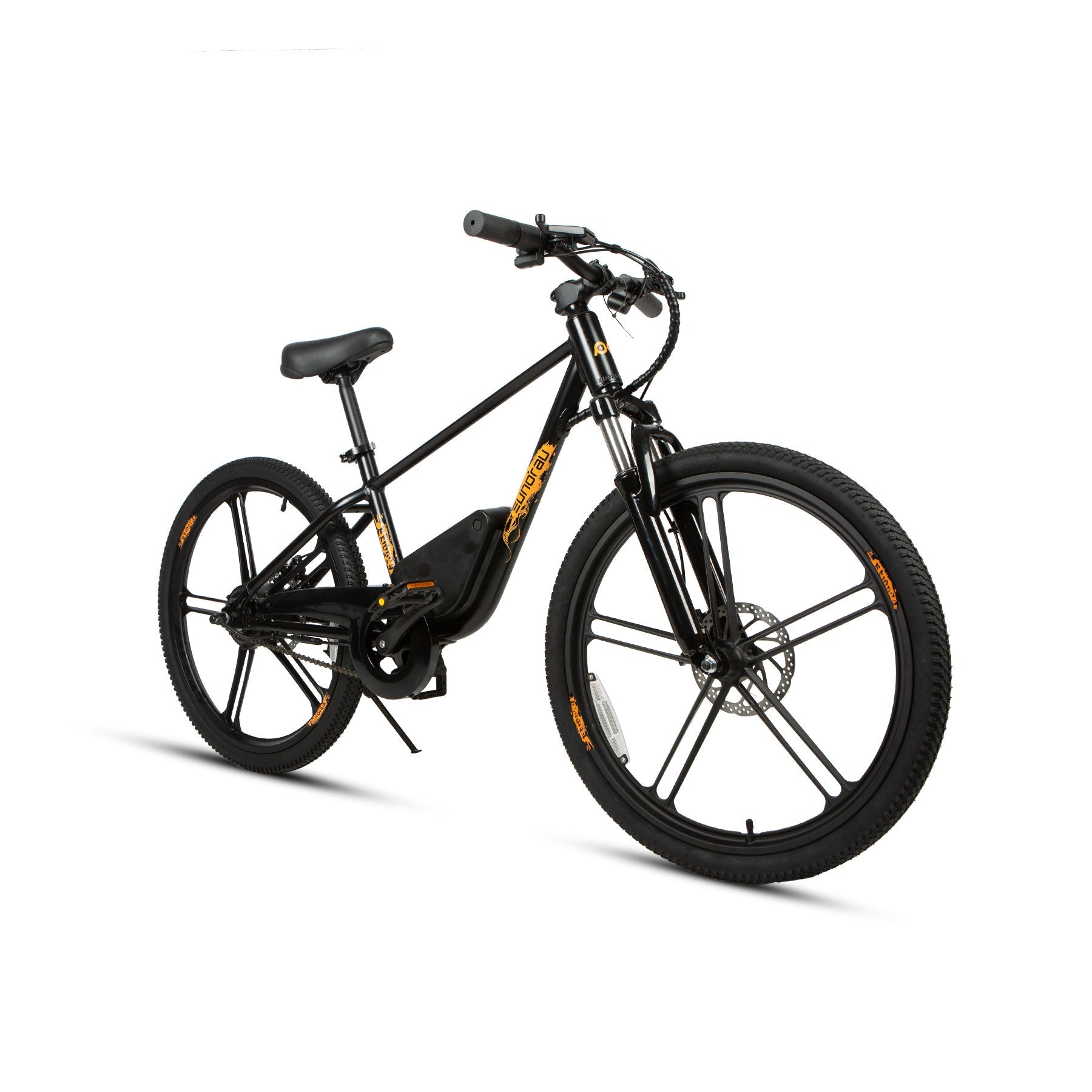 24 inch electric bike