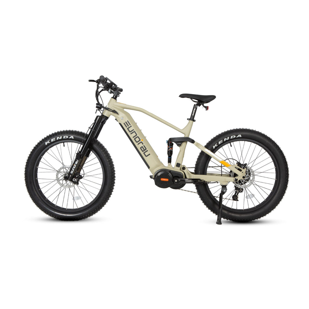 fat tire electric bike 1000w mid drive