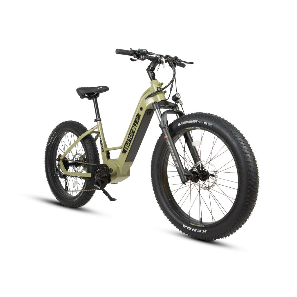 Electric hunting bike