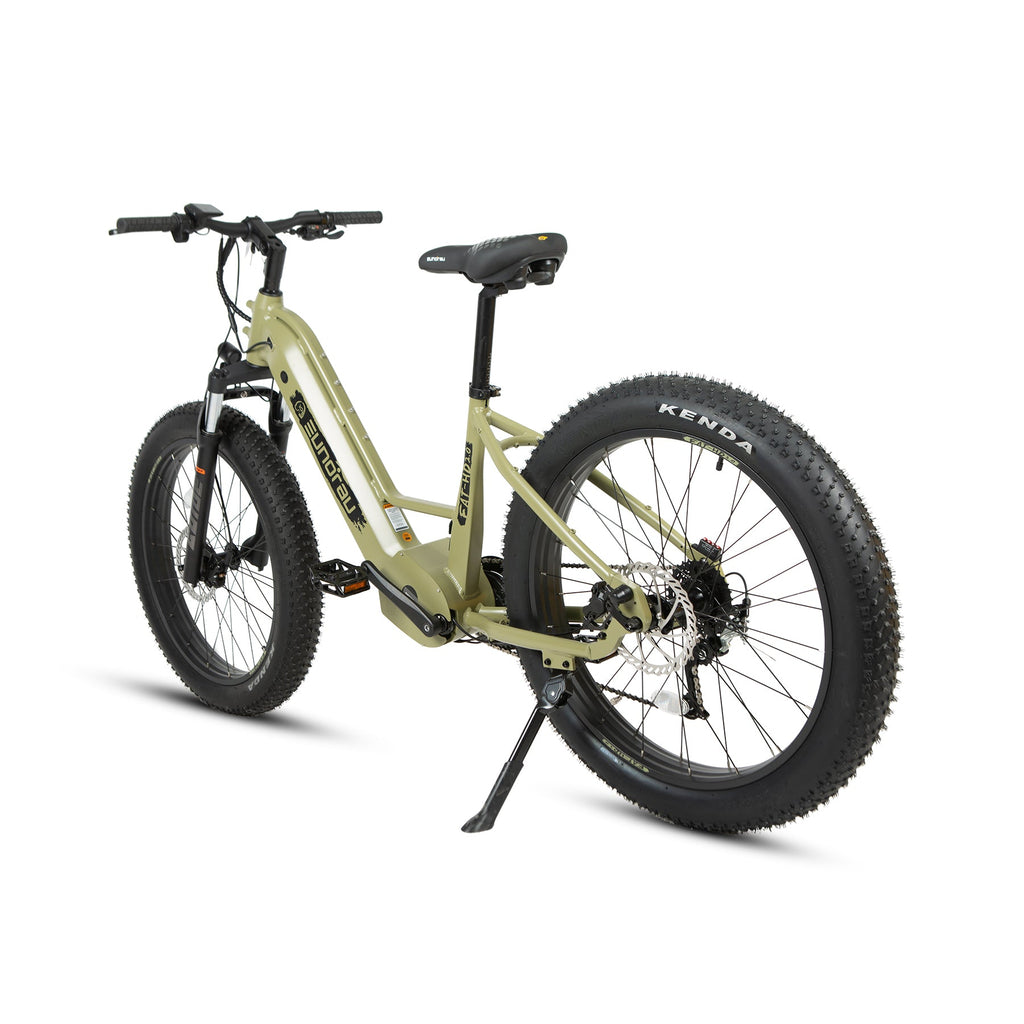Electric hunting bike