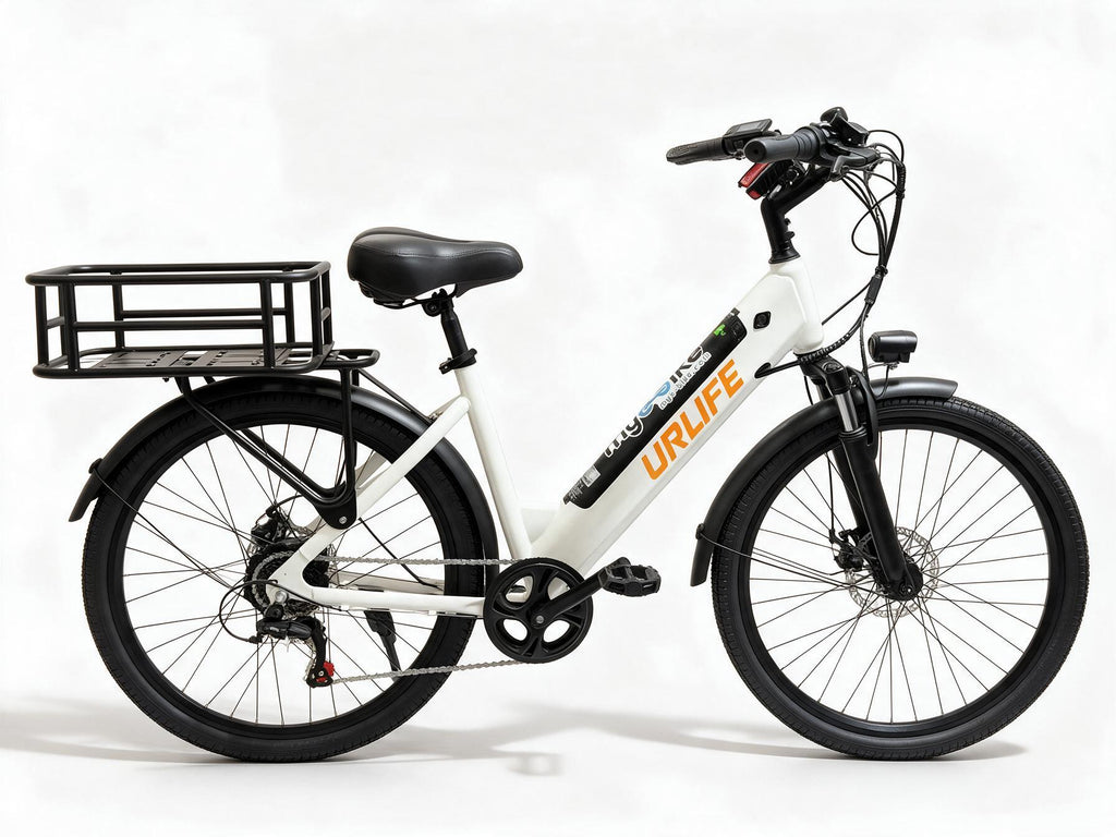 E-Delivery Bike 1