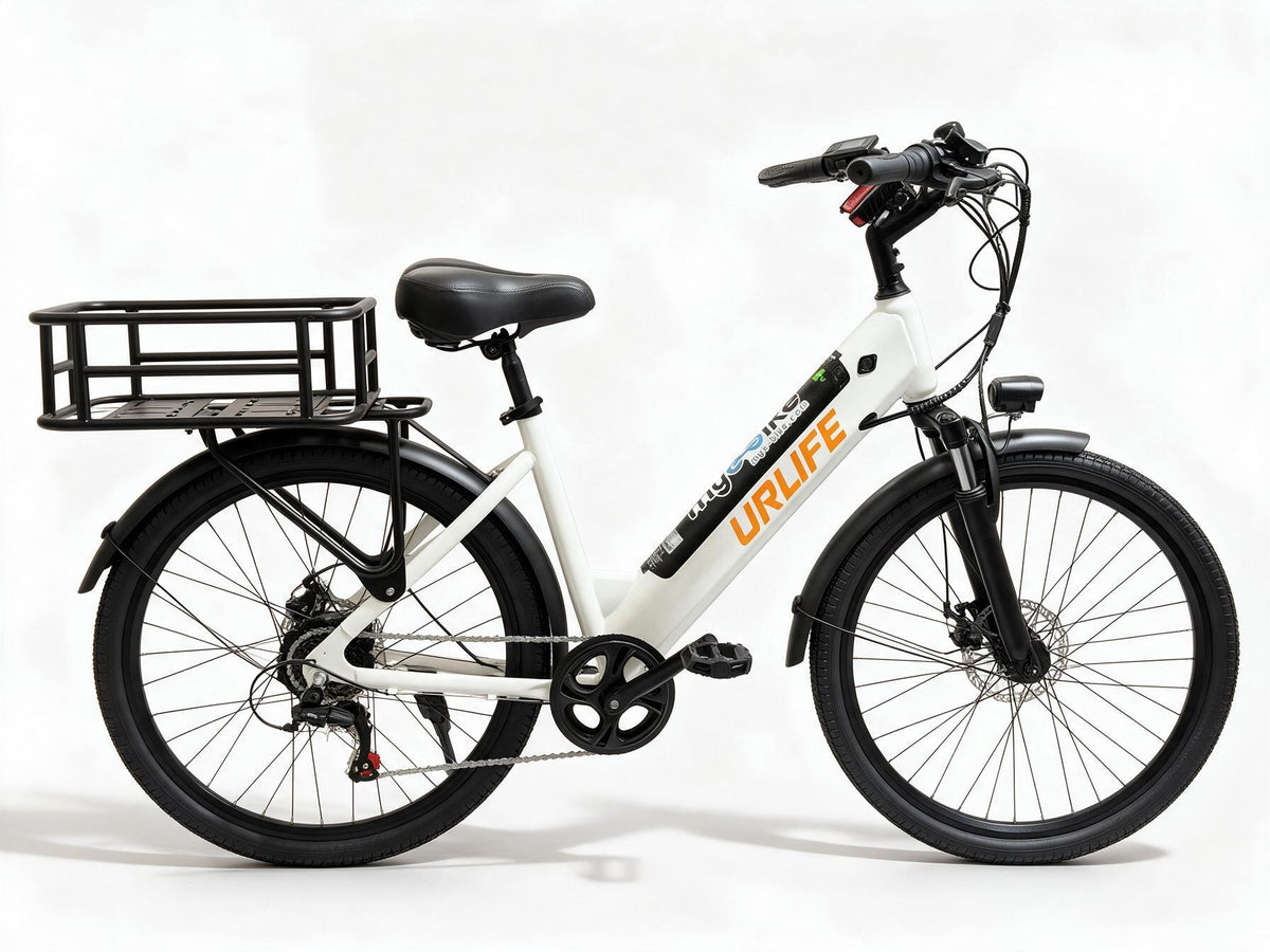 E-Delivery Bike 1